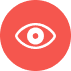 Vision
